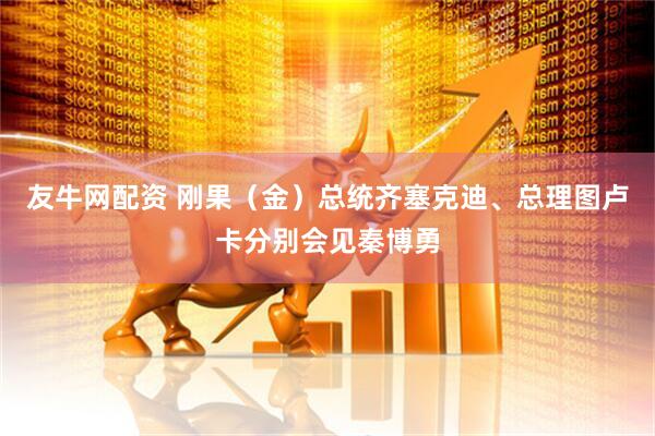 友牛网配资 刚果（金）总统齐塞克迪、总理图卢卡分别会见秦博勇