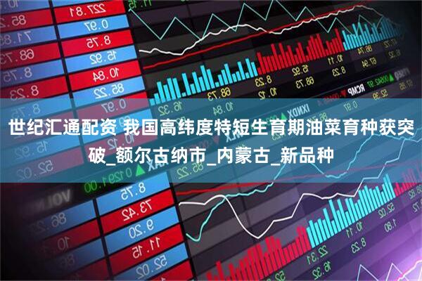 世纪汇通配资 我国高纬度特短生育期油菜育种获突破_额尔古纳市_内蒙古_新品种